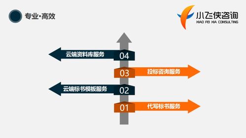 東方市標書制作與咨詢服務優選——小飛俠標書公司