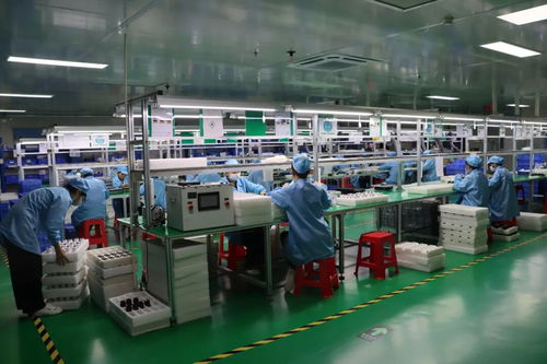 2025年東莞民營企業(yè)家日丨虎門青年企業(yè)家走訪標桿企業(yè) 社會經(jīng)濟咨詢服務