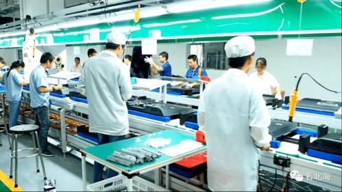 北海市深入貫徹落實“十六字”工作方針 以優質社會經濟咨詢服務推動高質量發展